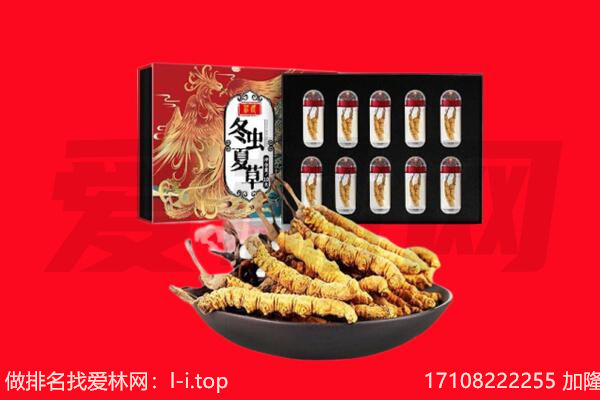 垫江县回收虫草.jpg